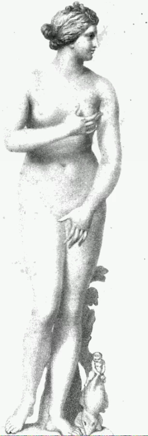 Immagine 1 - Bellezza illustrata